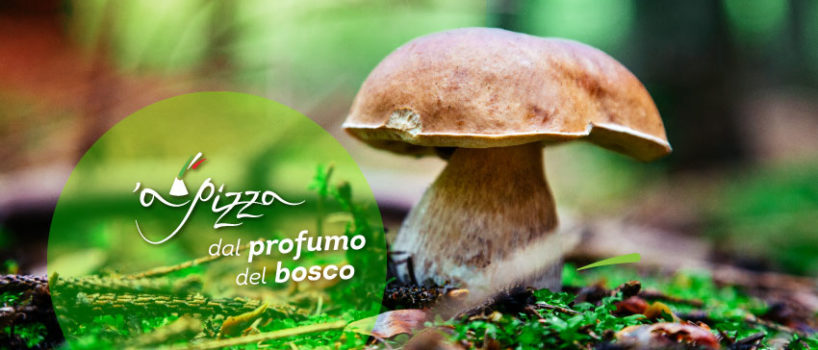 gusto pizza porcini 'a pizza