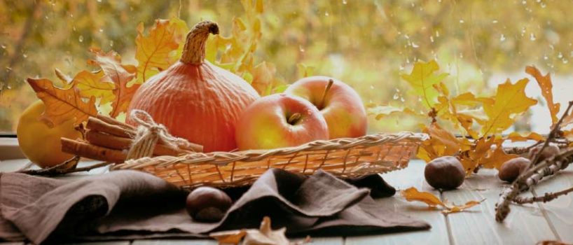 aperipizza-novembre-apizza